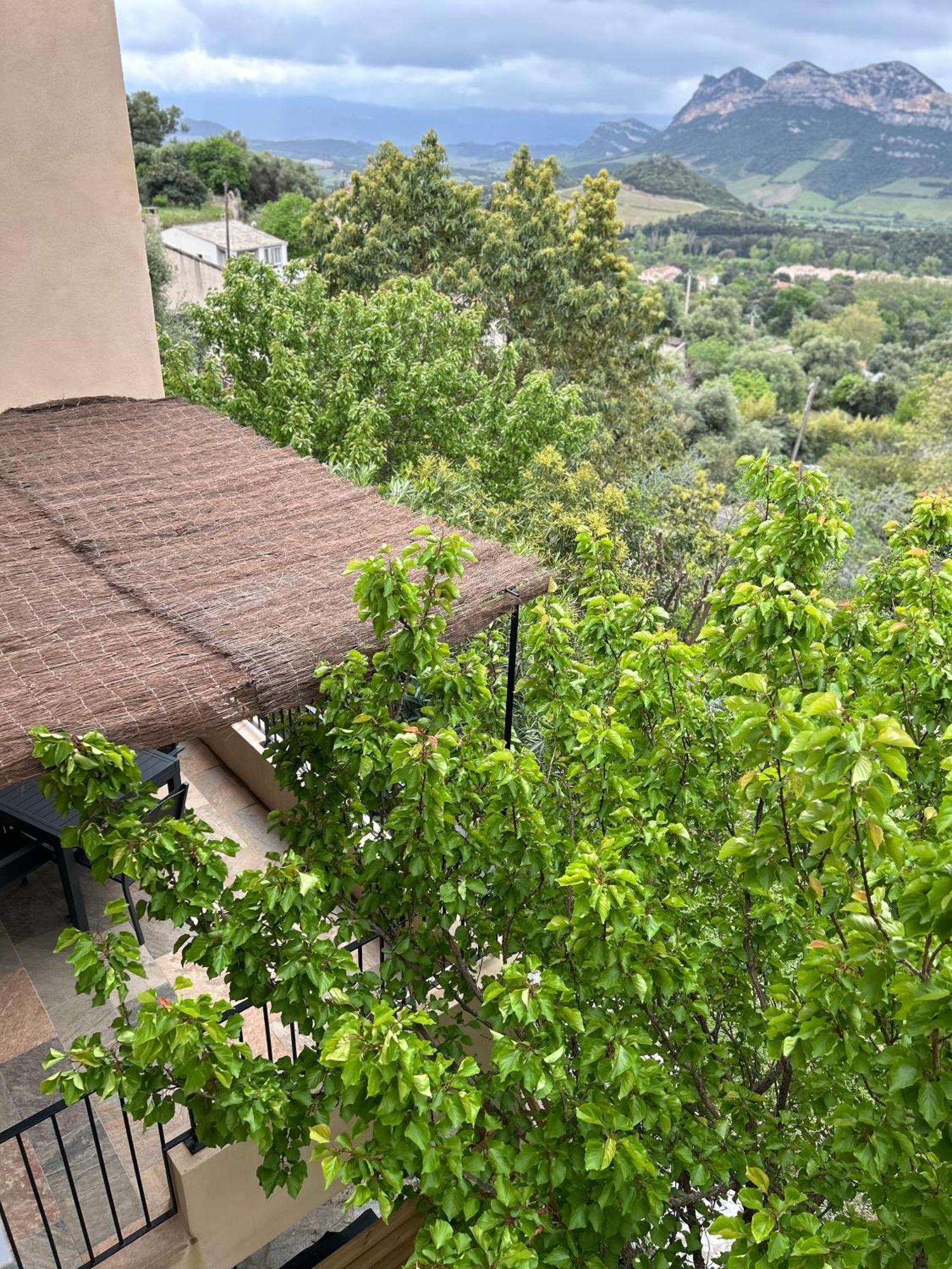 Villa Casa San Matteu à Patrimonio Extérieur photo